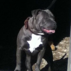 Meet your Posher, Sean